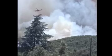 Φωτιά στον Μαραθώνα: «Θεωρώ πως θα καταφέρουμε να την ελέγξουμε» λέει ο αντιδήμαρχος στο enikos.gr