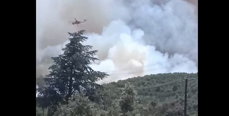 Φωτιά στον Μαραθώνα: «Θεωρώ πως θα καταφέρουμε να την ελέγξουμε» λέει ο αντιδήμαρχος στο enikos.gr