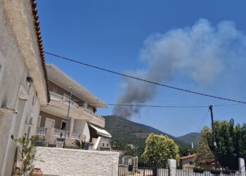 Φωτιά στον Μαραθώνα: Μήνυμα από το 112