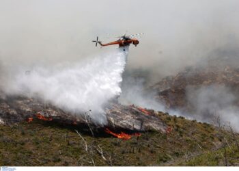 Υψηλός ο κίνδυνος πυρκαγιάς σήμερα – Οι περιοχές που βρίσκονται σε «κίτρινο» συναγερμό