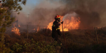 Υπό πλήρη έλεγχο η φωτιά σε δασική έκταση στα Βίλια