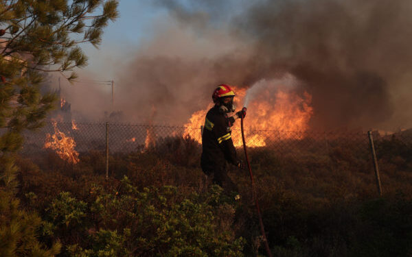 Υπό πλήρη έλεγχο η φωτιά σε δασική έκταση στα Βίλια