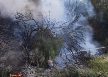 Φθιώτιδα: Φωτιά στην Παλαιοκερασιά – Επιχειρούν και εναέρια μέσα