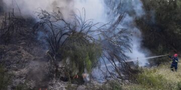 Φθιώτιδα: Φωτιά στην Παλαιοκερασιά – Επιχειρούν και εναέρια μέσα