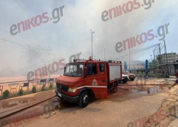 Φωτογραφίες και βίντεο αναγνώστη από τη φωτιά στο Χαλάνδρι