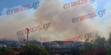Καίει ανεξέλεγκτη η φωτιά στη Χίο σε τρία μέτωπα