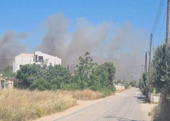 Φωτιά στην Ανάβυσσο – Επιχειρούν και εναέρια μέσα