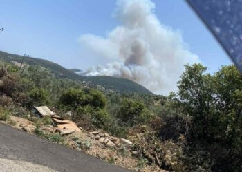 Δήμαρχος Μαραθώνα για φωτιά στο Άνω Σούλι: «Είμαστε σε επιφυλακή