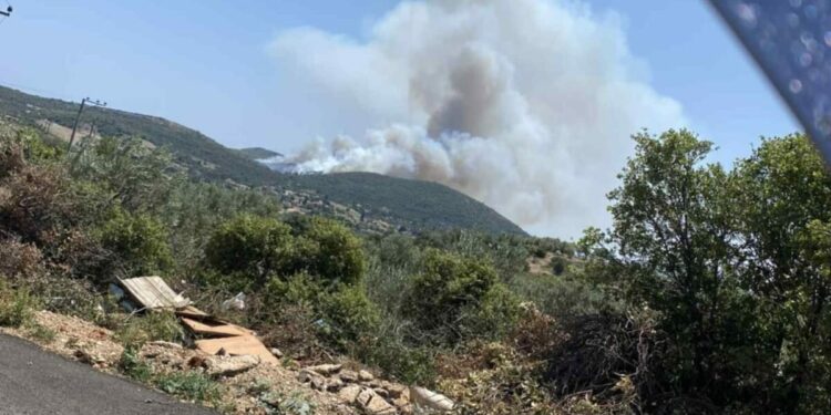 Δήμαρχος Μαραθώνα για φωτιά στο Άνω Σούλι: «Είμαστε σε επιφυλακή