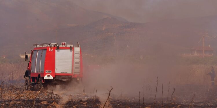 Φωτιά στην Αργολίδα – Τέθηκε άμεσα υπό έλεγχο