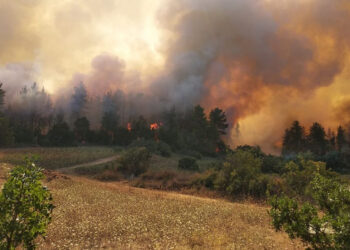 Κρήτη: Φωτιά στο Λασίθι – Καίει χαμηλή βλάστηση
