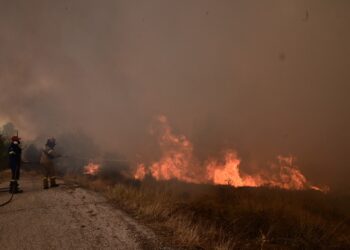 Φωτιά στην Χίο: Ήχησε ξανά το 112