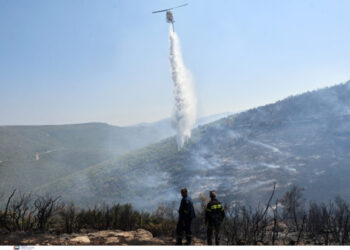 Οριοθετήθηκε η φωτιά στον Μαραθώνα – Πιθανή αιτία βραχυκύκλωμα σε καλώδιο από καρακάξα