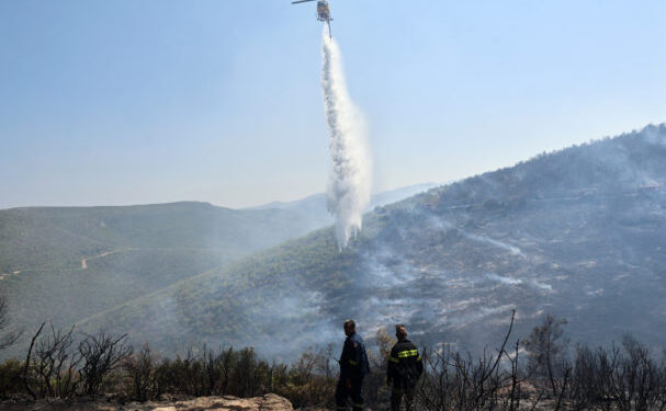 Οριοθετήθηκε η φωτιά στον Μαραθώνα – Πιθανή αιτία βραχυκύκλωμα σε καλώδιο από καρακάξα