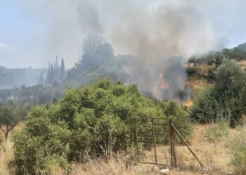Χωρίς ενεργό μέτωπο η φωτιά στο Χαρακοπιό Μεσσηνίας