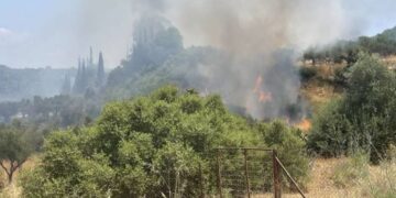 Χωρίς ενεργό μέτωπο η φωτιά στο Χαρακοπιό Μεσσηνίας