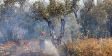 Φωτιά στη Χίο: Βελτιωμένη η κατάσταση