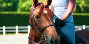 Στην φυλακή 67χρονος εκπαιδευτής ιππασίας που καταγγέλθηκε από ανήλικες μαθήτριές του για σεξουαλική κακοποίηση και παρενόχληση