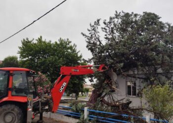 Ζημιές σε καλλιέργειες από το μπουρίνι – 57 κλήσεις για πτώσεις δέντρων δέχτηκε η Πυροσβεστική