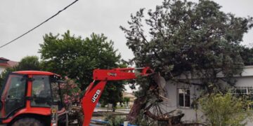 Ζημιές σε καλλιέργειες από το μπουρίνι – 57 κλήσεις για πτώσεις δέντρων δέχτηκε η Πυροσβεστική