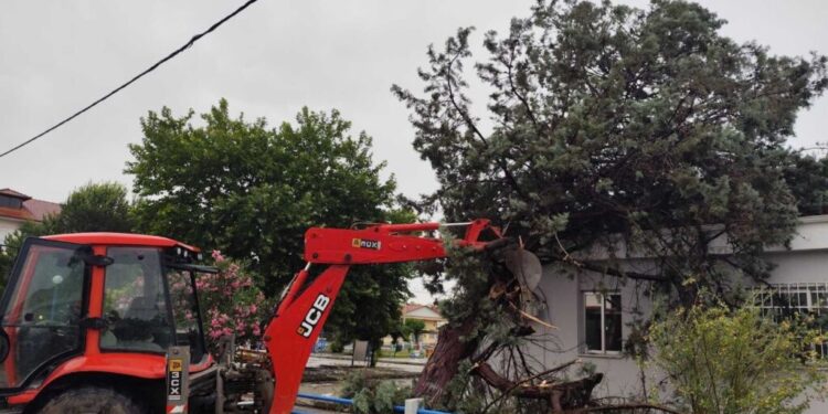 Ζημιές σε καλλιέργειες από το μπουρίνι – 57 κλήσεις για πτώσεις δέντρων δέχτηκε η Πυροσβεστική