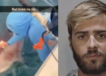 Mαχαίρωσε καρχαρία για να τον «εκδικηθεί» που του έκλεψε τα ψάρια