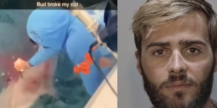 Mαχαίρωσε καρχαρία για να τον «εκδικηθεί» που του έκλεψε τα ψάρια