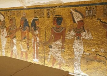 Toxic fungus linked to the “curse of the pharaohs” is turned into an anti-leukaemia drug