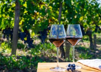 Χρηματοδότηση 14,2 εκατ. ευρώ για προώθηση του ελληνικού οίνου στο εξωτερικό