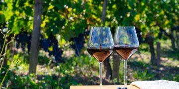 Χρηματοδότηση 14,2 εκατ. ευρώ για προώθηση του ελληνικού οίνου στο εξωτερικό