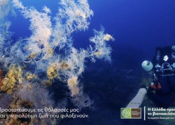Απαγόρευση αλιείας με συρόμενα εργαλεία στους Φούρνους Κορσεών για προστασία των κοραλλιών