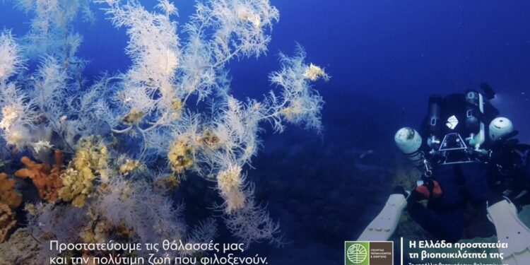 Απαγόρευση αλιείας με συρόμενα εργαλεία στους Φούρνους Κορσεών για προστασία των κοραλλιών