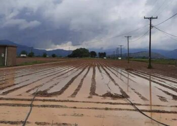 Κρήτη: Η έντονη νεροποντή «έπνιξε» τις καλλιέργειες στο Λασίθι – Σε εξέλιξη η αποτίμηση από τον ΕΛΓΑ