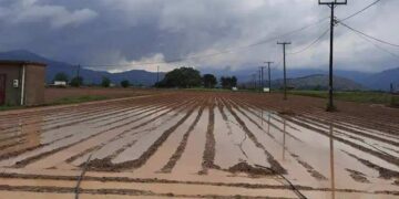 Κρήτη: Η έντονη νεροποντή «έπνιξε» τις καλλιέργειες στο Λασίθι – Σε εξέλιξη η αποτίμηση από τον ΕΛΓΑ