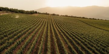 Η… μέθη του Χρηματιστηρίου, το free float και το κουμπί του… exit