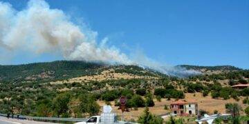 Απαγορεύεται η κυκλοφορία στα δάση λόγω υψηλού κινδύνου για πυρκαγιές
