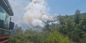 Φωτιά στον Μαραθώνα: Επιχειρούν 120 πυροσβέστες, δασοκομάντος και 17 εναέρια μέσα