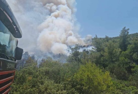 Φωτιά στον Μαραθώνα: Επιχειρούν 120 πυροσβέστες, δασοκομάντος και 17 εναέρια μέσα