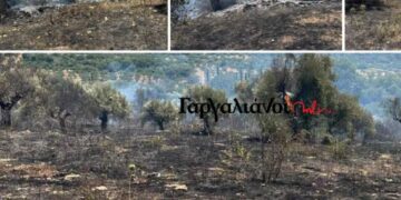 Φωτιά στην Μεσσηνία – Σηκώθηκαν 2 αεροσκάφη 
