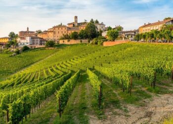 Ένα οινοτουριστικό ταξίδι στις πλαγιές του Monforte d’Alba