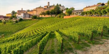 Ένα οινοτουριστικό ταξίδι στις πλαγιές του Monforte d’Alba