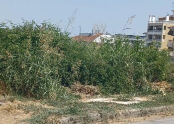 Ακαθάριστα οικόπεδα: Τι αλλάζει στους ελέγχους