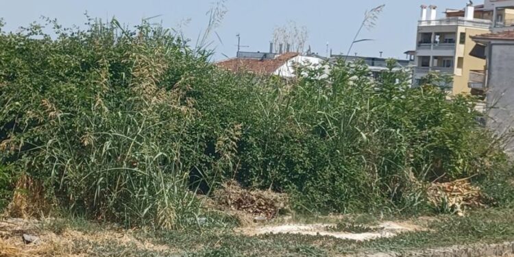 Ακαθάριστα οικόπεδα: Τι αλλάζει στους ελέγχους