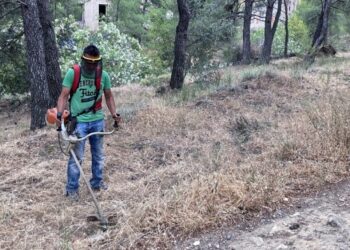 Over 700,000 plot cleanup declarations submitted in Greece