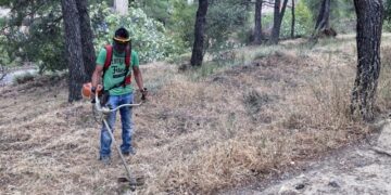 Over 700,000 plot cleanup declarations submitted in Greece