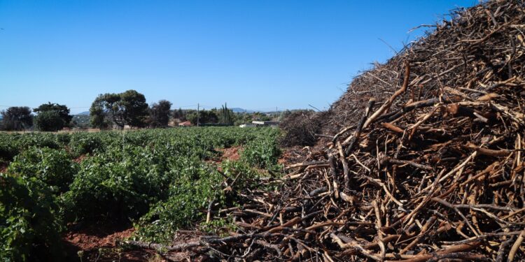 Ακαθάριστα οικόπεδα: Σχεδόν 320.000 οι δηλώσεις