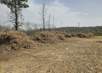 Έληξε η προθεσμία για τον καθαρισμό, 130.000 λιγότερες δηλώσεις φέτος