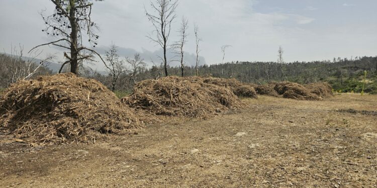 Έληξε η προθεσμία για τον καθαρισμό, 130.000 λιγότερες δηλώσεις φέτος