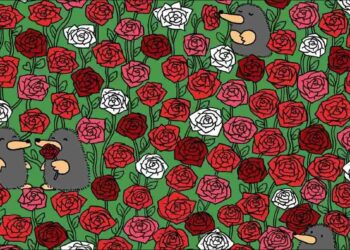 Μόνο το 1% των ανθρώπων θα βρει τις 3 καρδιές σε 5 δευτερόλεπτα