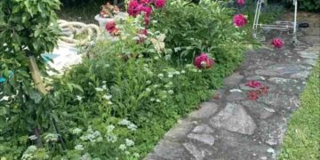 Μόνο το 2% των ανθρώπων θα βρει την γάτα σε 7 δευτερόλεπτα